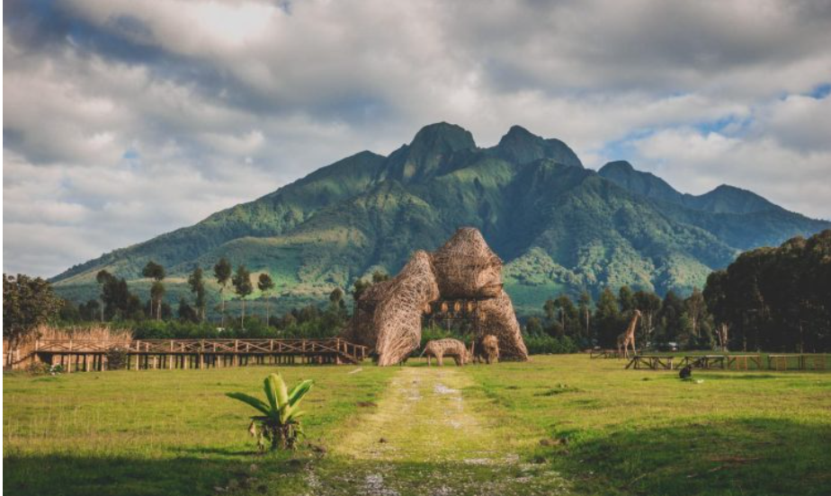 Mount Karisimbi Hiking